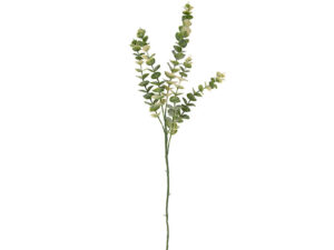 Kunstplant Slutak Naturel