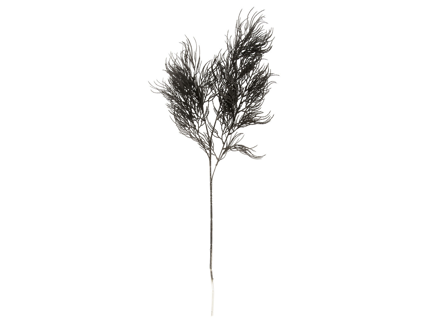 Kunstplant Gredona Zwart H86 cm