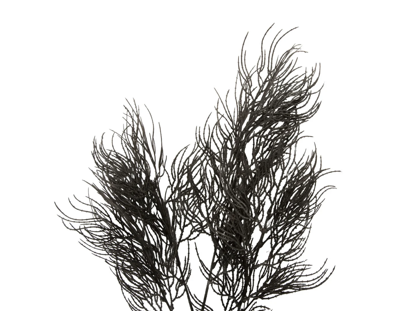 Kunstplant Gredona Zwart H86 cm - Afbeelding 2