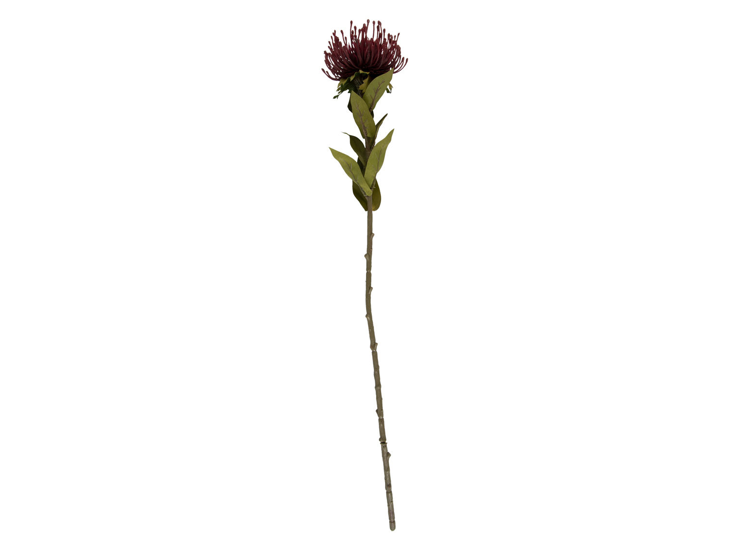 Kunstplant Veeby Bordeaux H60 cm