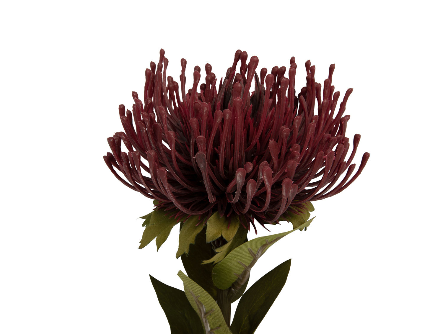 Kunstplant Veeby Bordeaux H60 cm - Afbeelding 2