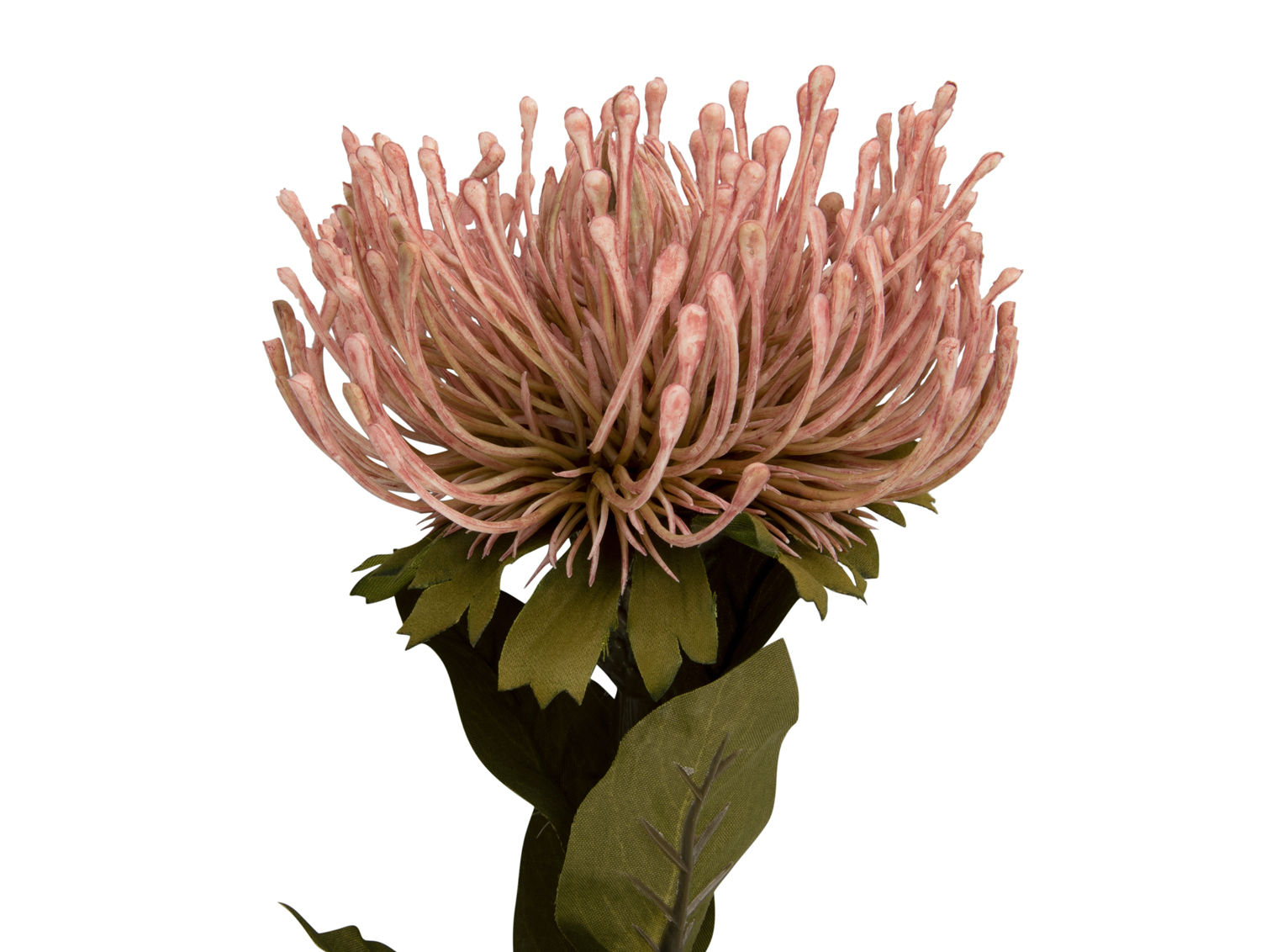 Kunstplant Maunond Lichtroze H73 cm - Afbeelding 2
