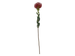 Kunstplant Ceskar Bordeaux H73 cm