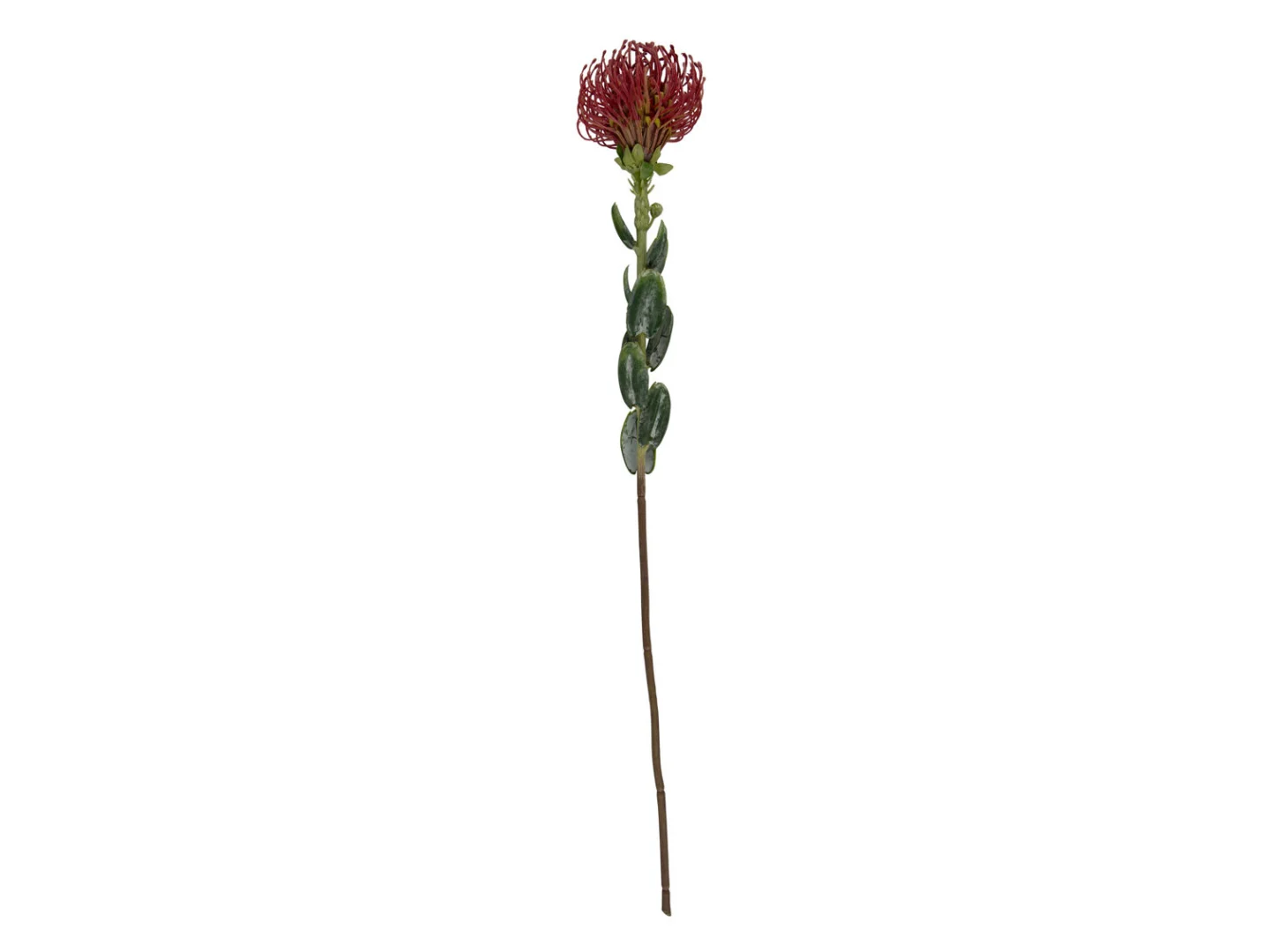 Kunstplant Ceskar Bordeaux tak met bordeauxrode bloem en groene bladeren, 73 cm hoog, sfeervolle decoratie
