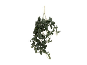 Kunstplant Kientond Groen H76 cm