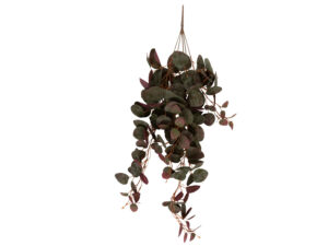 Kunstplant Staanel Groen H79 cm
