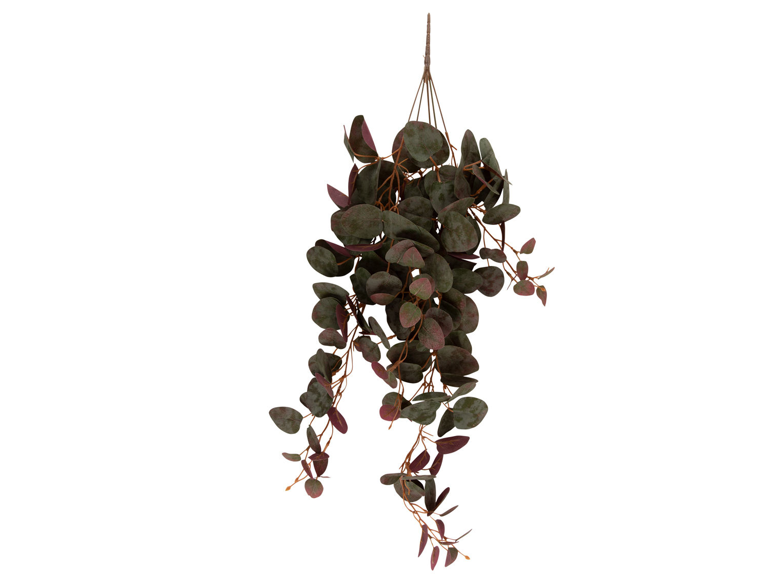 Kunstplant Staanel Groen H79 cm