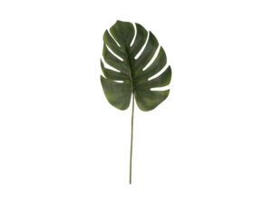 Kunstplant Zeedine Groen H61 cm