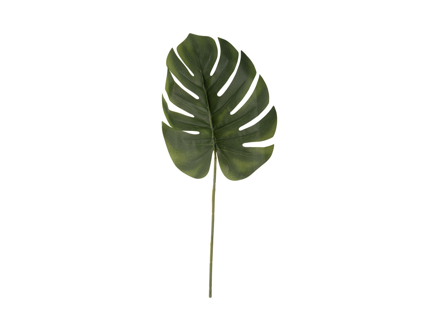 Kunstplant Zeedine Groen H61 cm