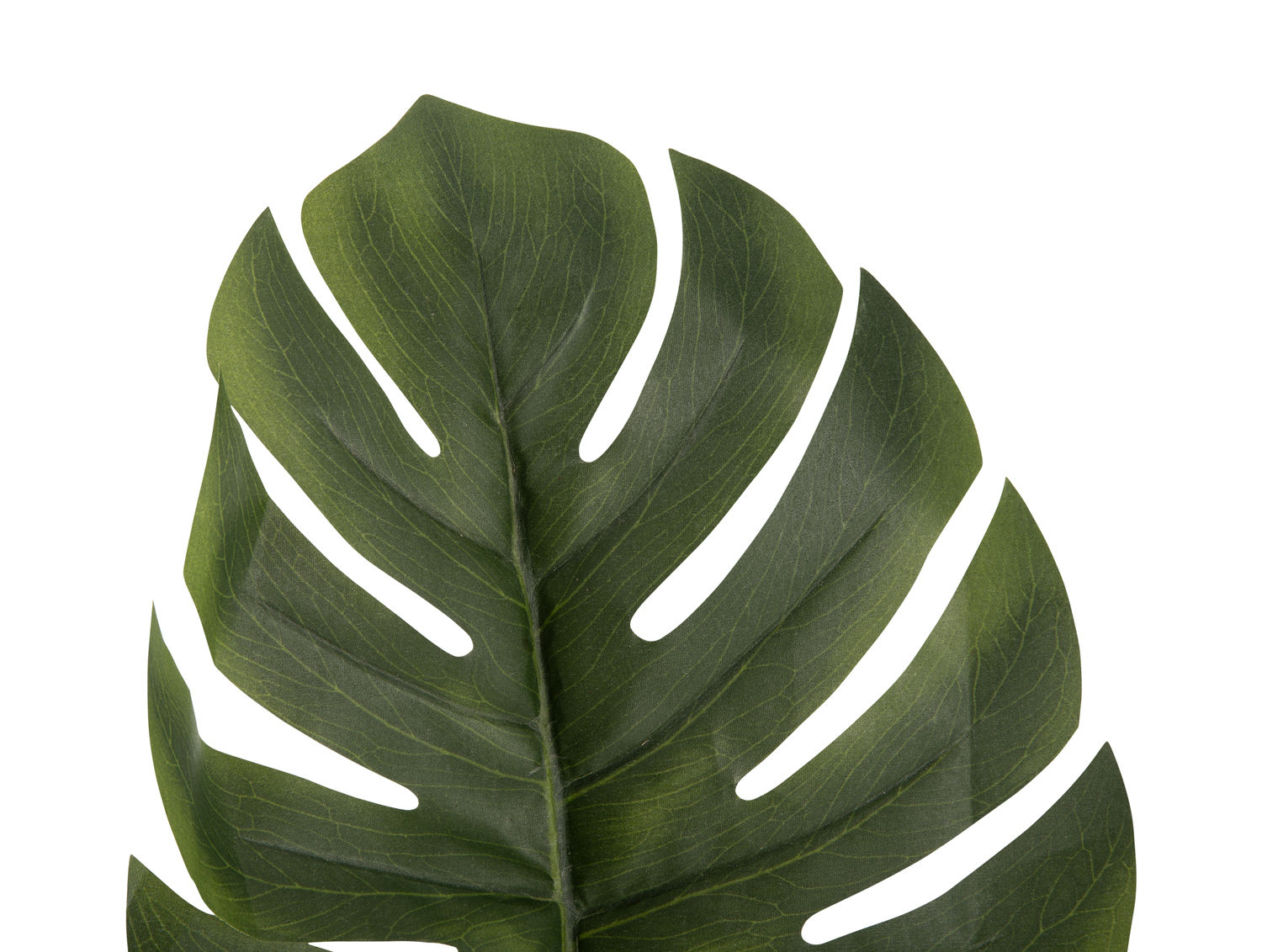 Kunstplant Zeedine Groen H61 cm - Afbeelding 2