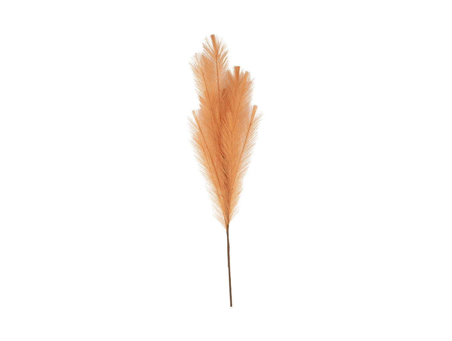 Spot Meeto Polyester faux feather in warm orange, a decorative stem for a vase with a minimalist look