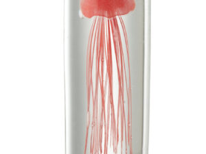Presse-papier Stullond Glas Rood