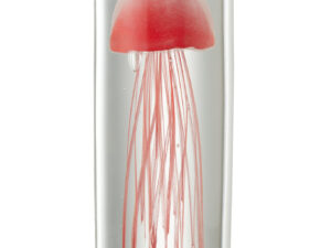 Presse-papier Graarnine Glas Rood