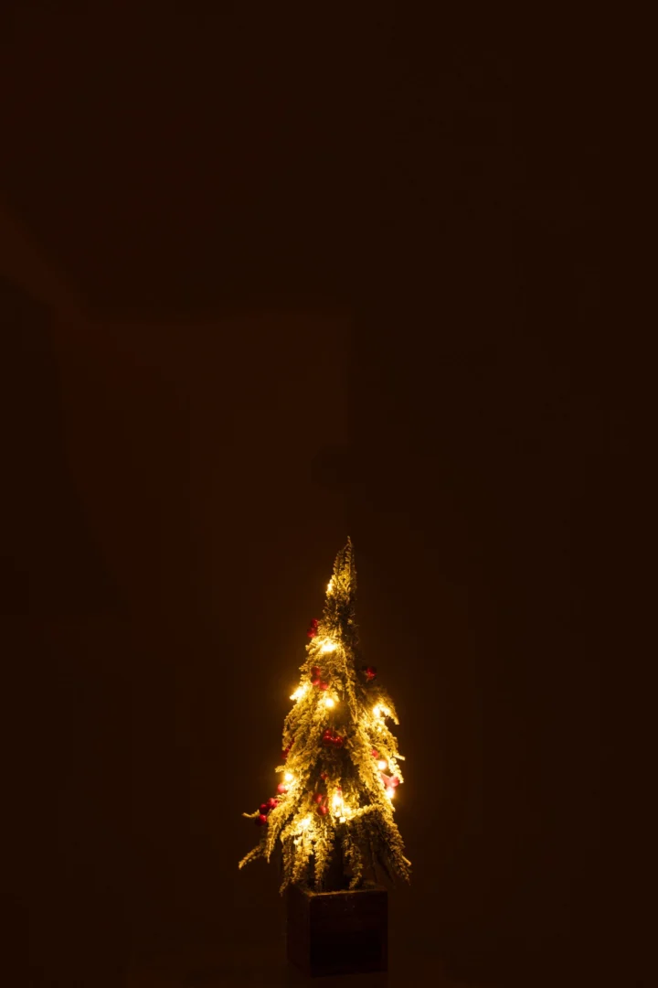 Kerstboom Liernin Kunststof Rood H40 cm - Afbeelding 2