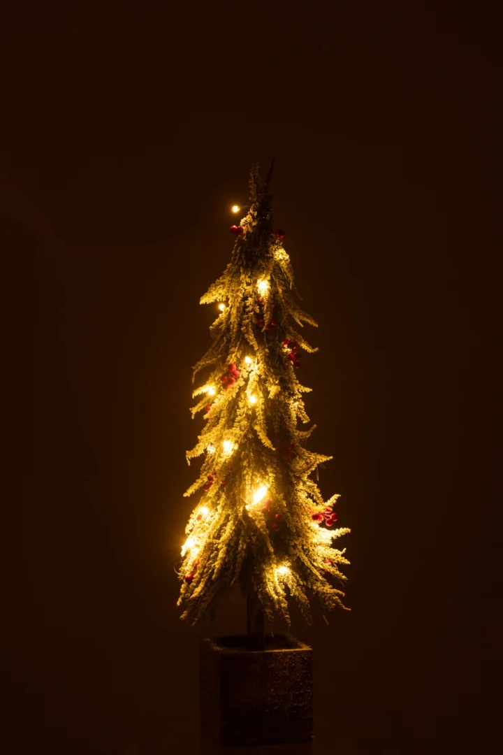 Kerstboom Prormero Kunststof Rood H75 cm - Afbeelding 2
