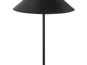 Tafellamp Haalvis Zwart H56 cm