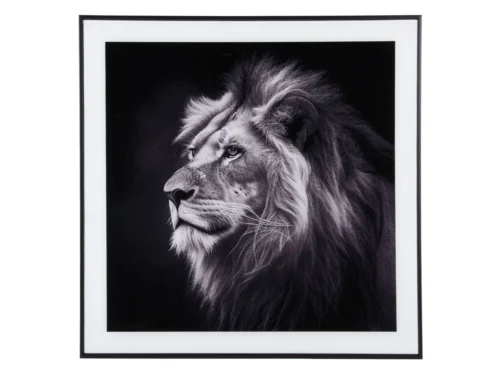 Spot Bondand Glas wanddecoratie met zwart-witte leeuw achter glas in strak zwart frame