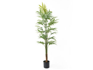 Kunstplant Noorea Goud H160 cm