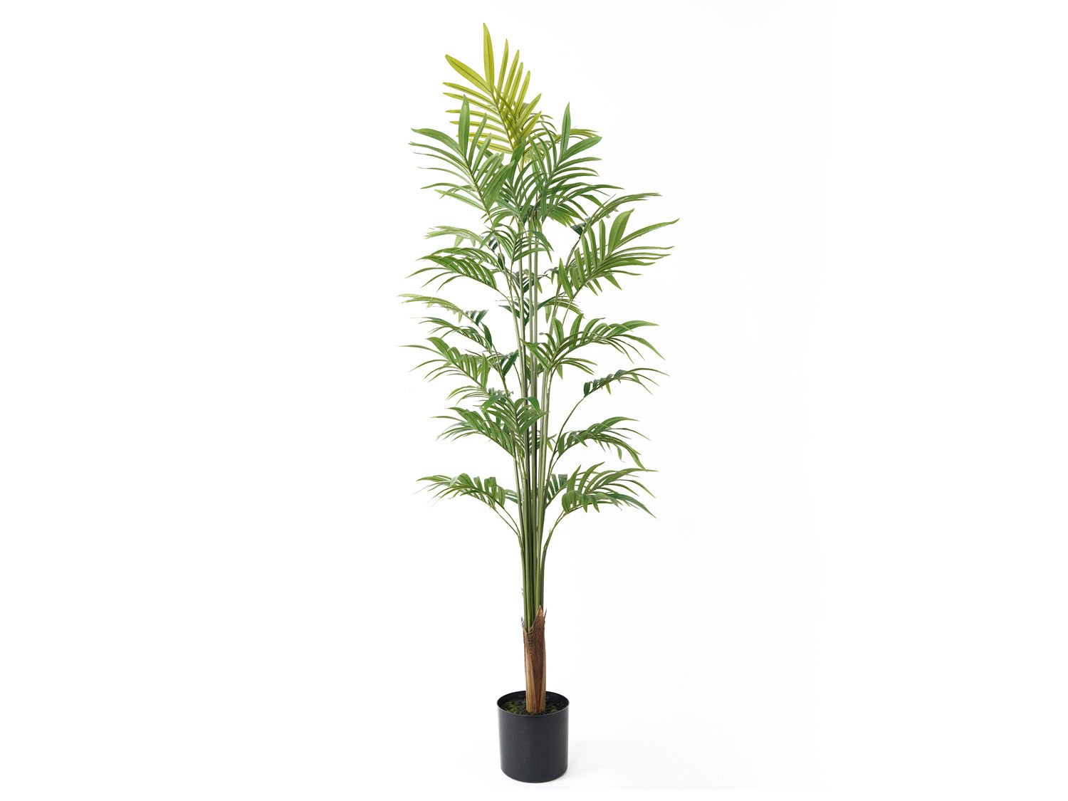 Kunstplant Noorea Goud H160 cm