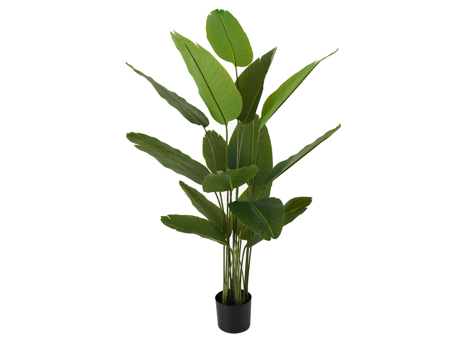 Kunstplant Dalia Groen H150 cm