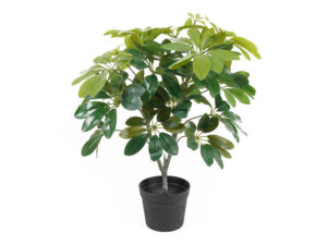 Kunstplant Roontal Groen H48 cm