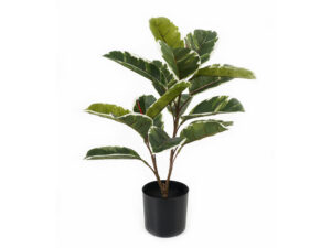 Kunstplant Condano Groen H57 cm