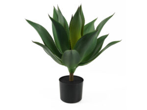 Kunstplant Doolea Donkergroen H56 cm