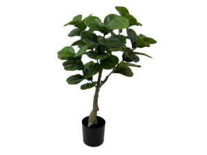 Kunstplant Preinnan Groen H72 cm