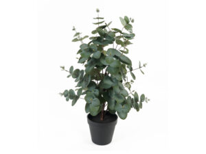 Kunstplant Collum Groen H54 cm