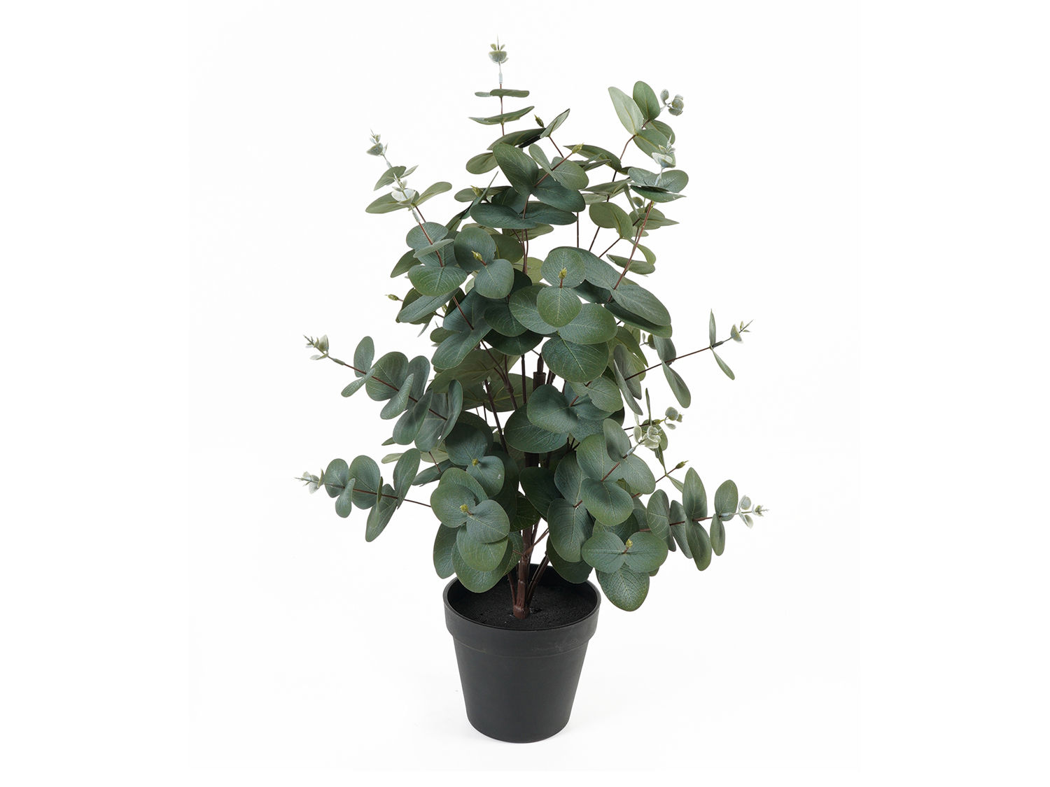 Kunstplant Collum Groen H54 cm