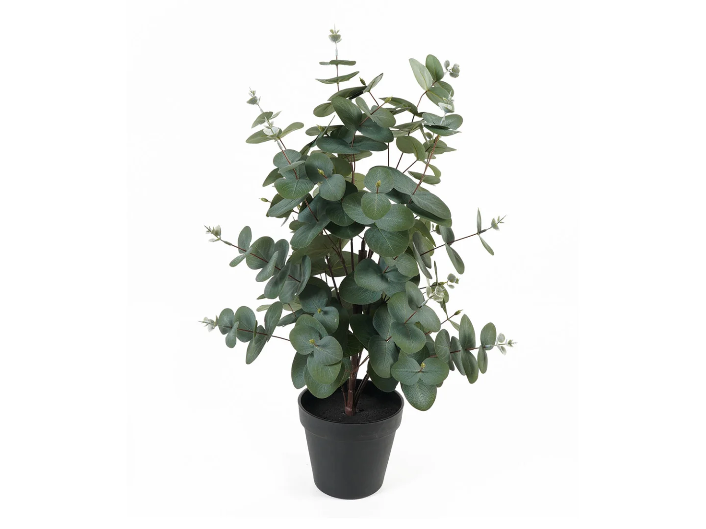 Kunstplant Collum Groen 54 cm in zwarte pot, met volle ronde groene bladeren en natuurlijke uitstraling