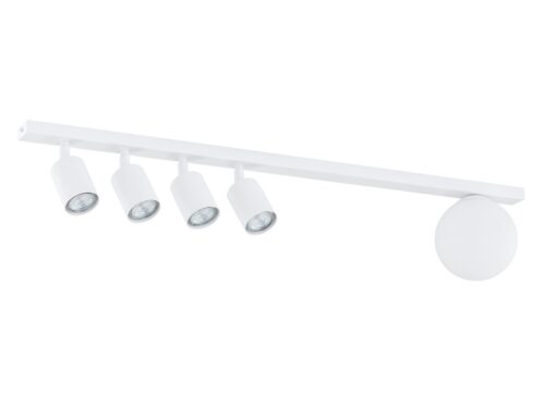 Plafondlamp Jessund zwart en wit met 5 verstelbare spots en ronde glazen kap