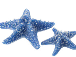 Kaars Varrun Paraffine Blauw