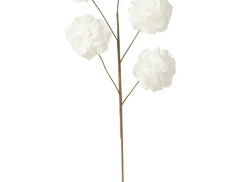 Woonaccessoire Slaskum EVA wit, decoratieve bloemtak met vijf zachte pompons en slanke bruine steel