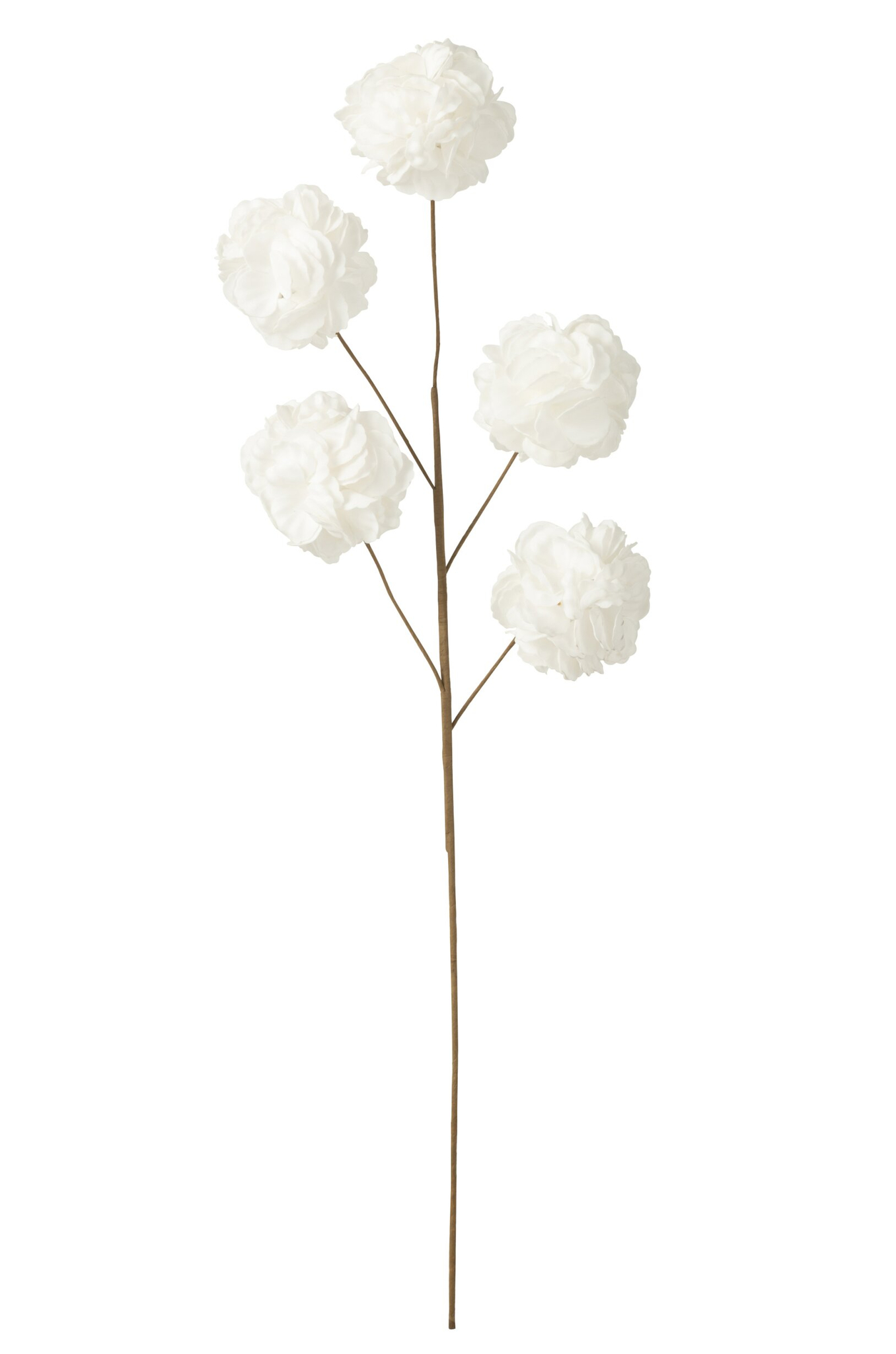 Woonaccessoire Slaskum EVA wit, decoratieve bloemtak met vijf zachte pompons en slanke bruine steel