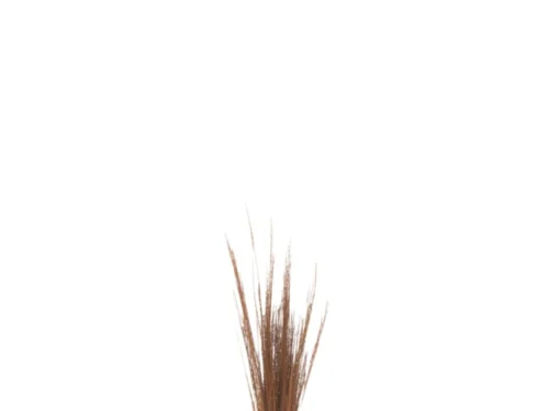 Kunstbloem Toormun Gras Bruin, bundel slanke bruine grasstengels voor een natuurlijke, rustige sfeer