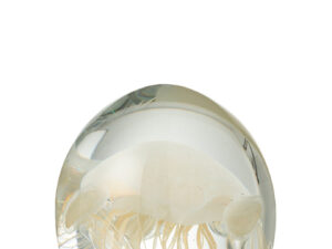 Presse-papier Ceebino Glas Beige
