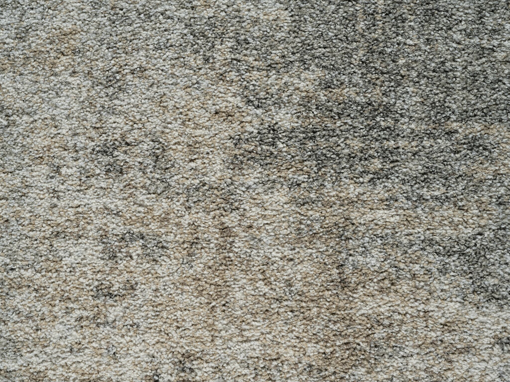 Vloerkleed Saussin 290x200 cm - Afbeelding 4