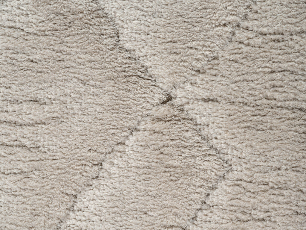 Vloerkleed Graaskena 290x200 cm - Afbeelding 2