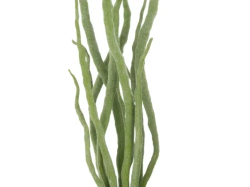 Kunstbloem Tessa groene vetplant in witte pot, slank design voor een natuurlijke interieurlook