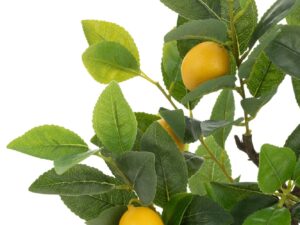 Decoratiefruit Skoosero Stof Groen H60 cm