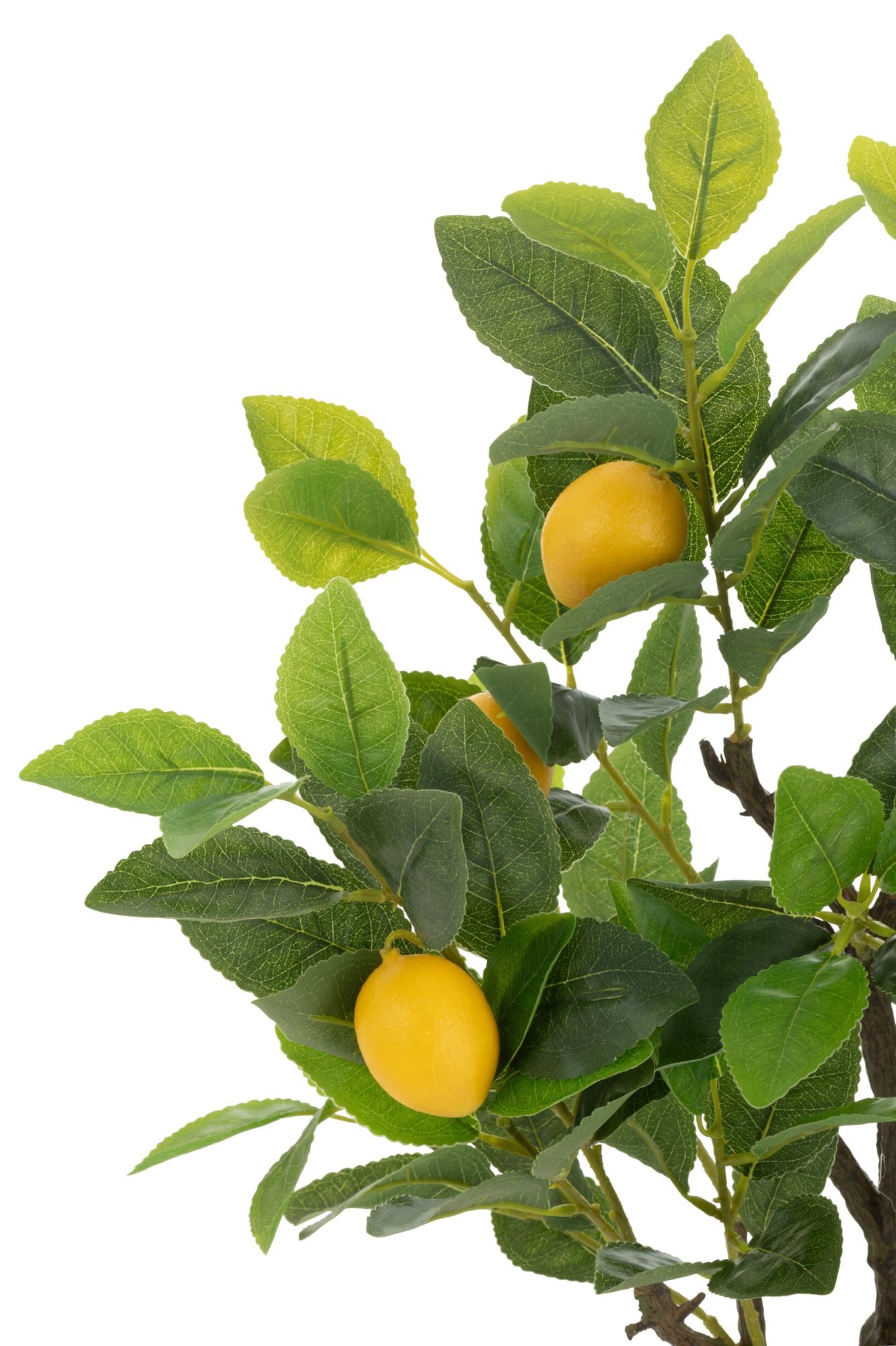 Decoratiefruit Skoosero Stof Groen H60 cm