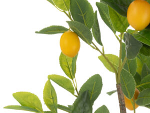 Decoratiefruit Zutphen Stof Groen H130 cm