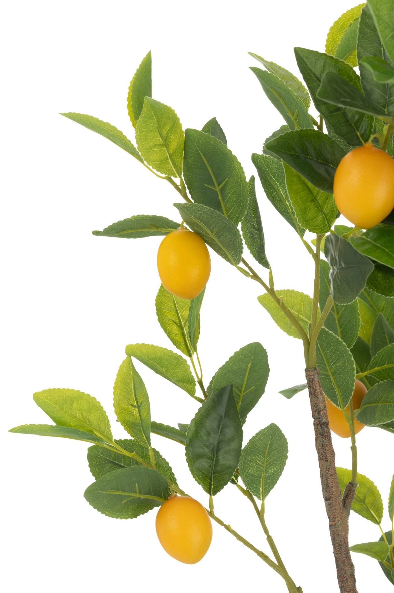 Decoratiefruit Zutphen Stof Groen H130 cm