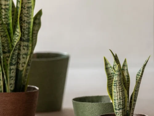 Kunstplant Stelin 47 cm, groene Dracaena Trifasciata in pot met realistische bladeren