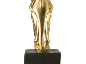 Woonaccessoire Domero Goud