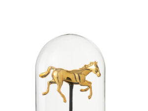 Decoratie Cinnar Glas Goud