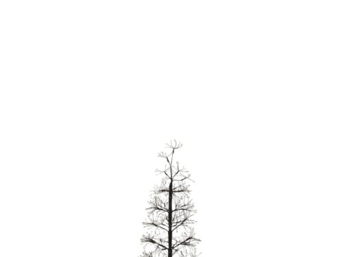 Kunstboom Laulton zwart met warmwitte LED-verlichting, slank metalen ontwerp H120 cm