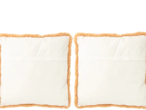 Hondenkussen Flielal set van 2, bruin-beige, 60 x 60 cm, zacht en comfortabel met warme fluffy rand