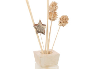Geurstokjes Harmy Droogbloemen Goud